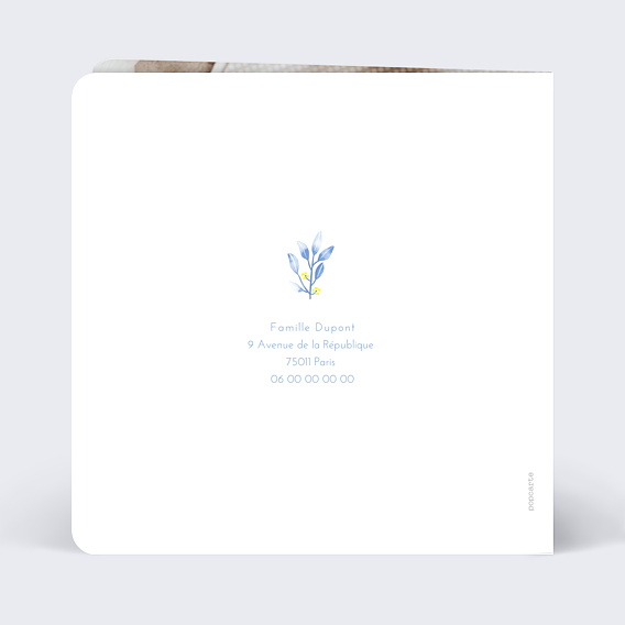 Faire-part Naissance Primevères