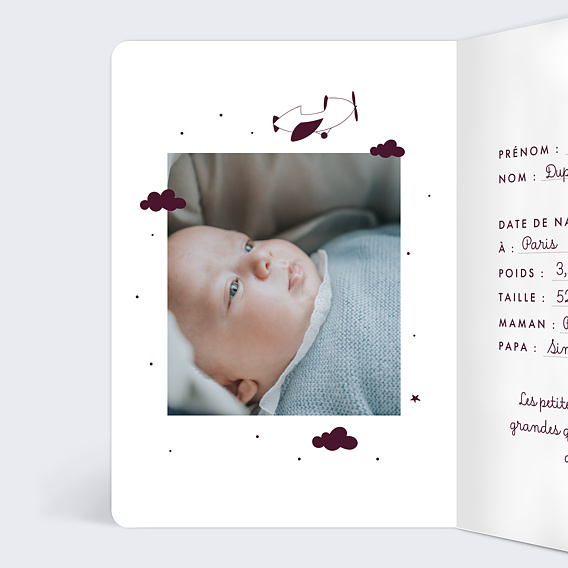 Faire part naissance Passeport Intérieur Gauche