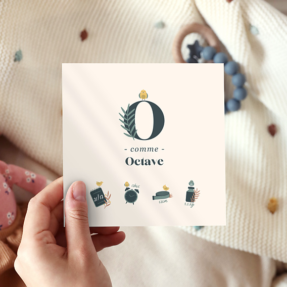 Faire part naissance Certificat Mésange Après 4