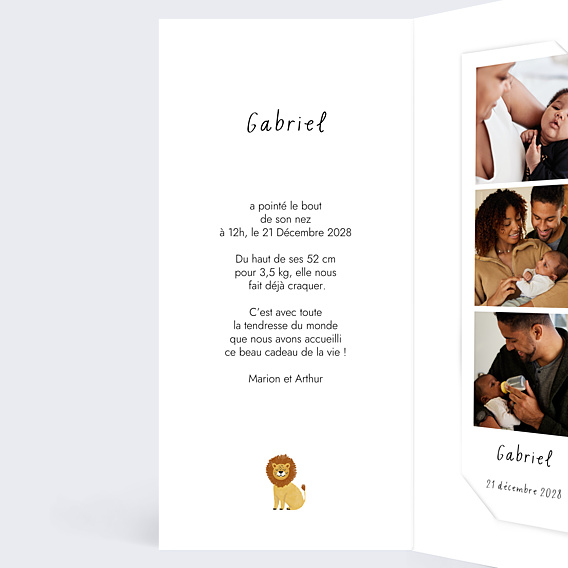 Faire-part Naissance Pictos savane