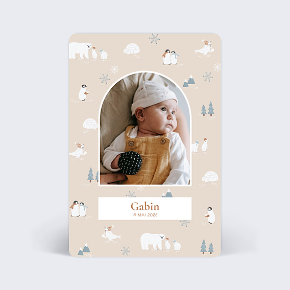 Faire part naissance Motif hivernal