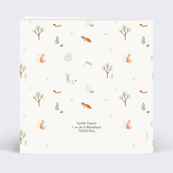 Faire part naissance Couronne renard Verso