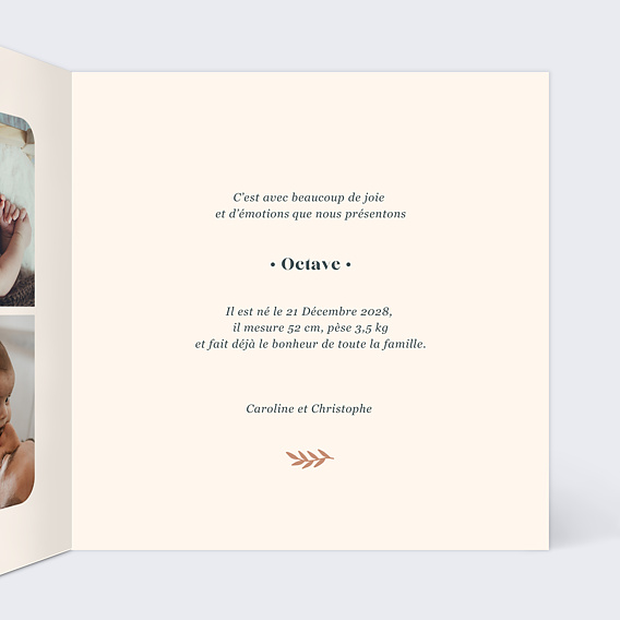 Faire part naissance Certificat Mésange Intérieur Droit