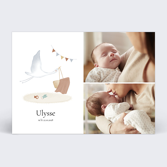 Faire part naissance Cigogne Chambre Recto