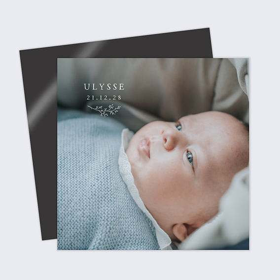 Faire part naissance Photo Brindille