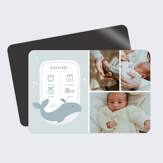 Faire part naissance Baleine certificat