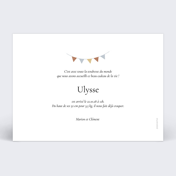 Faire part naissance Cigogne Chambre Verso