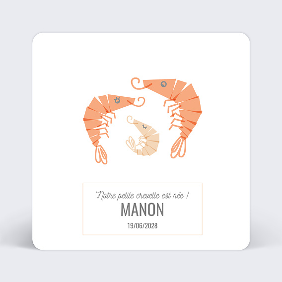 Faire part naissance Petite Crevette