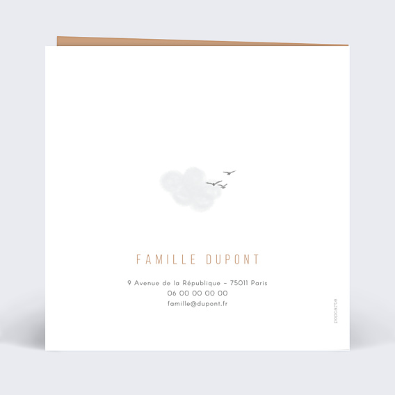 Faire-part Naissance Petit Aviateur
