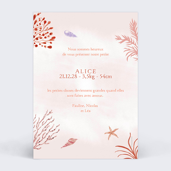 Faire part naissance Pleine Mer Verso