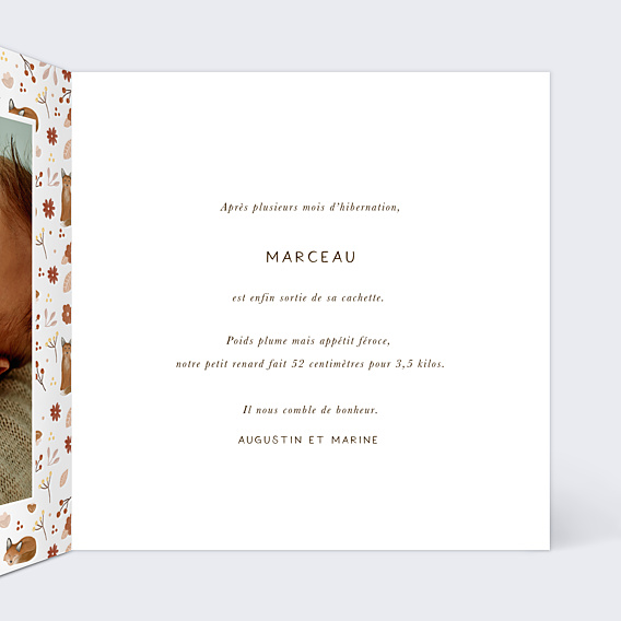 Faire-part Naissance Pattern Renardeau