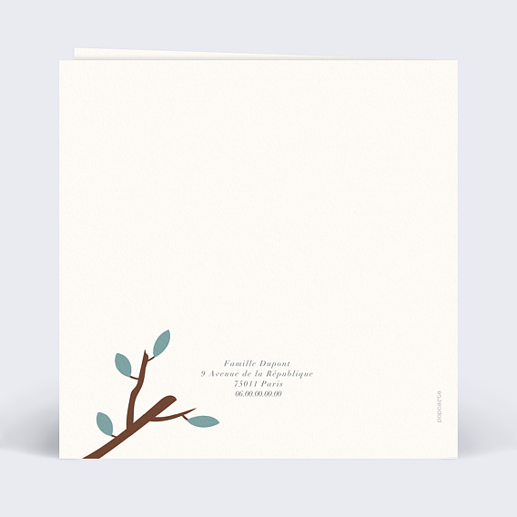 Faire part naissance Amazonie Verso