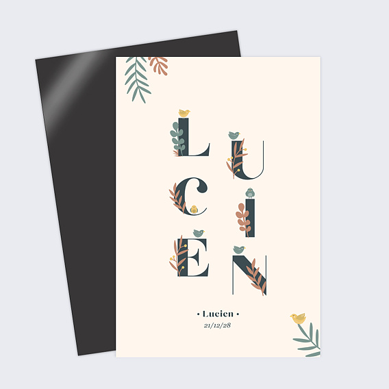 Faire part naissance Mésange Prénom