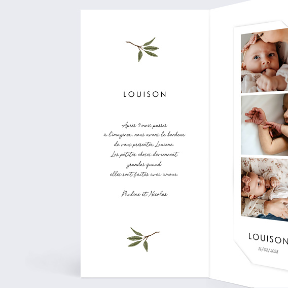 Faire part naissance Lapin Forêt Carré Intérieur Gauche