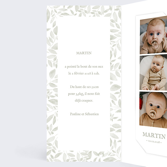 Faire-part Naissance Jolis brins