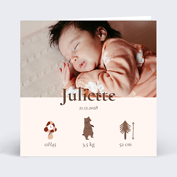 Faire-part Naissance Picto forêt