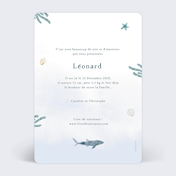 Faire part naissance Monde Marin Verso