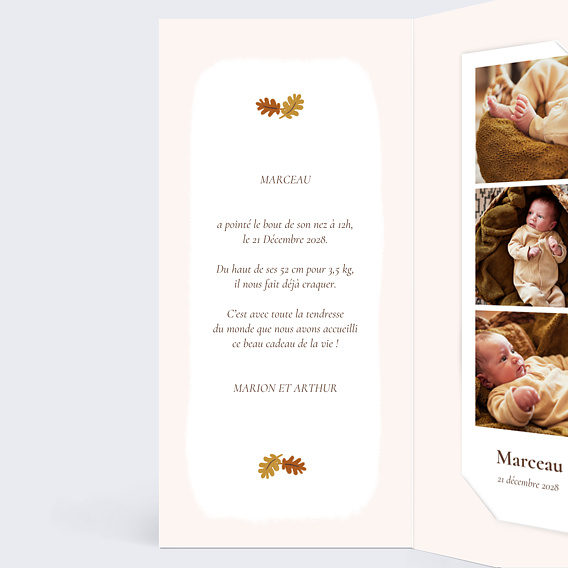 Faire part naissance Renard picto Intérieur Gauche