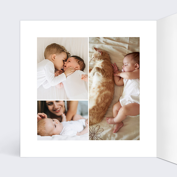 Faire part naissance Chaton Mignon Intérieur Gauche