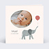 Faire part naissance Éléphant joueur