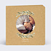 Faire part naissance Lauriers Photo