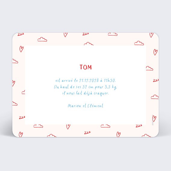 Faire part naissance Recette de bébé Verso