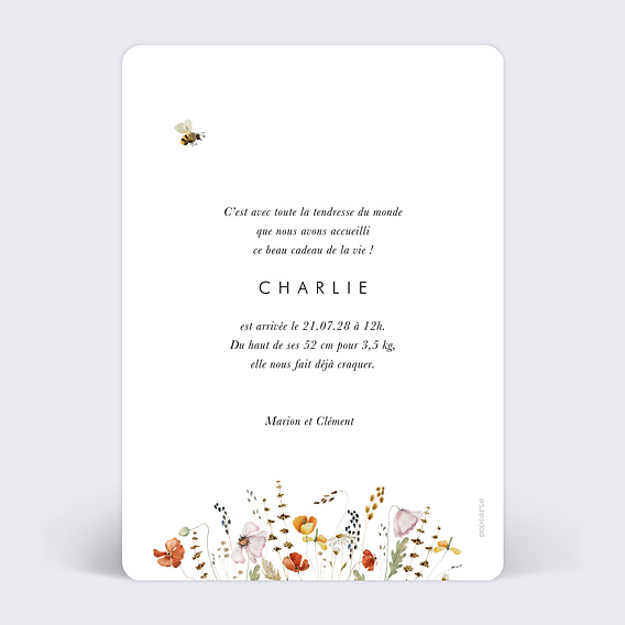 Faire part naissance Joli printemps Verso