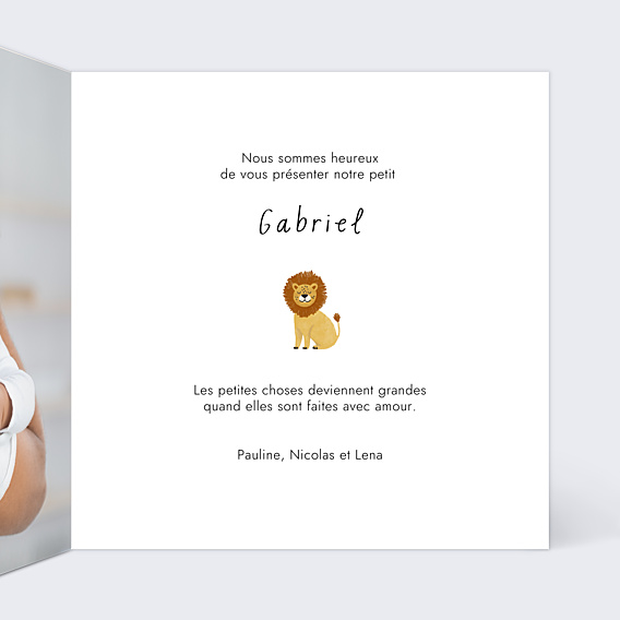 Faire-part Naissance Pictos savane