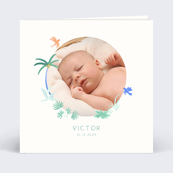Faire part naissance Petits oiseaux