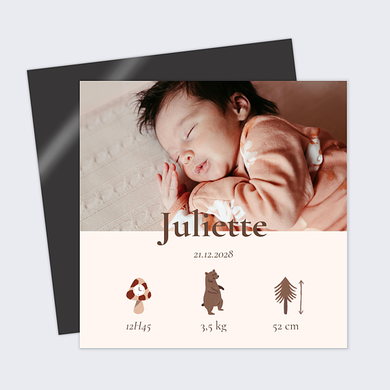 Faire part naissance Picto forêt