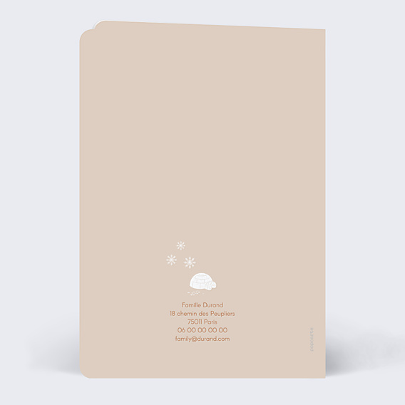Faire-part Naissance Motif hivernal