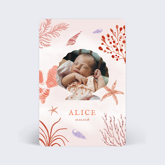 Faire-part Naissance Pleine Mer
