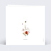 Faire-part Naissance Fleurs de champs avec graines