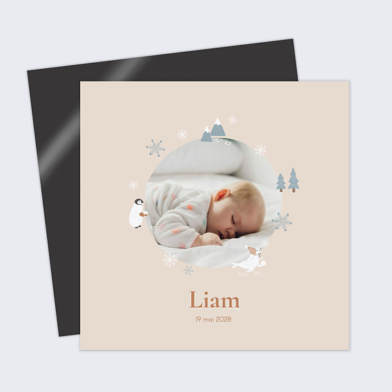 Faire part naissance Pingouin