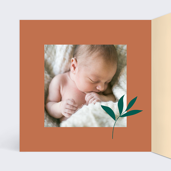 Faire-part Naissance Safran