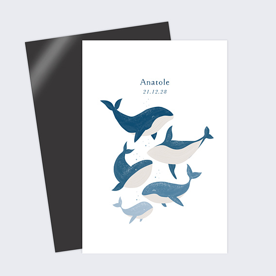 Faire part naissance Famille Baleine