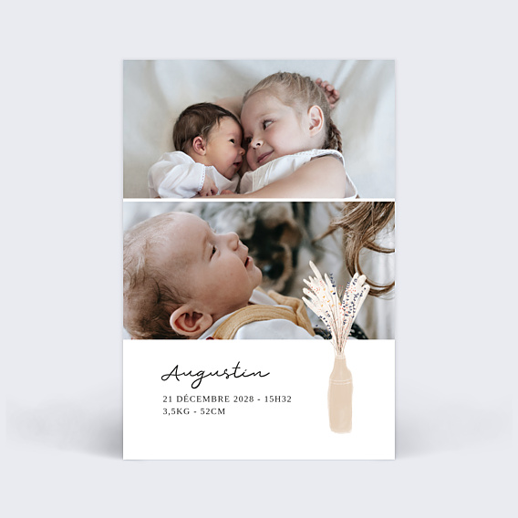 Faire-part Naissance Fleur de pampa