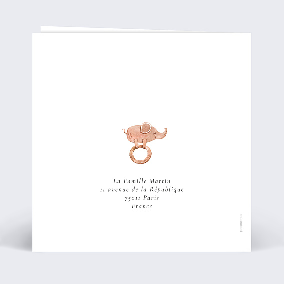 Faire part naissance Lapinou Verso