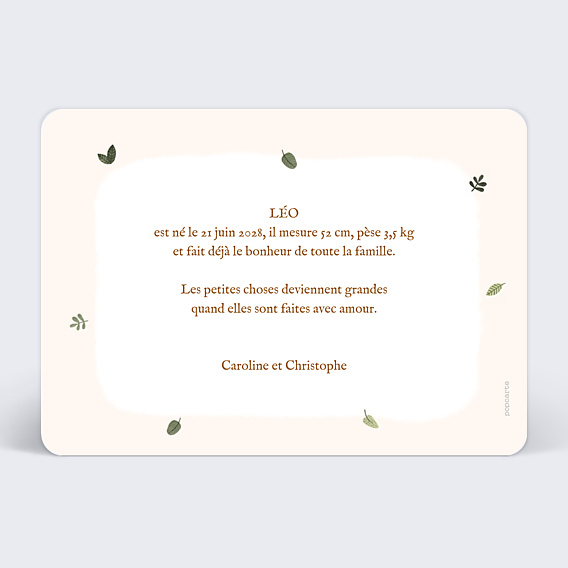 Faire-part Naissance Lion picto