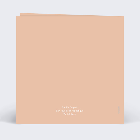 Faire part naissance Petit arc-en-ciel Verso