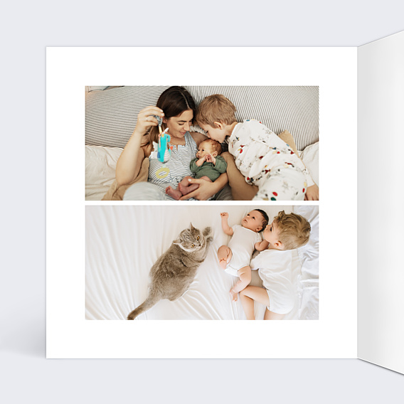 Faire-part Naissance Couronne de Chats