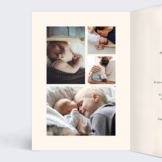 Faire part naissance Mésange Prénom Intérieur Gauche