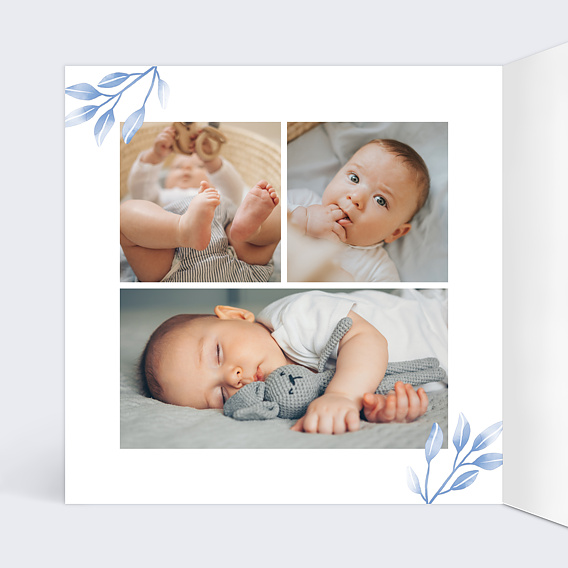 Faire part naissance Bleuet Intérieur Gauche