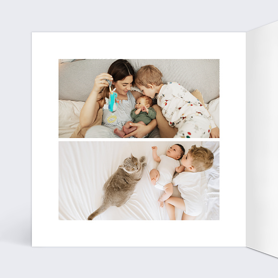 Faire part naissance Couronne de Chats Intérieur Gauche