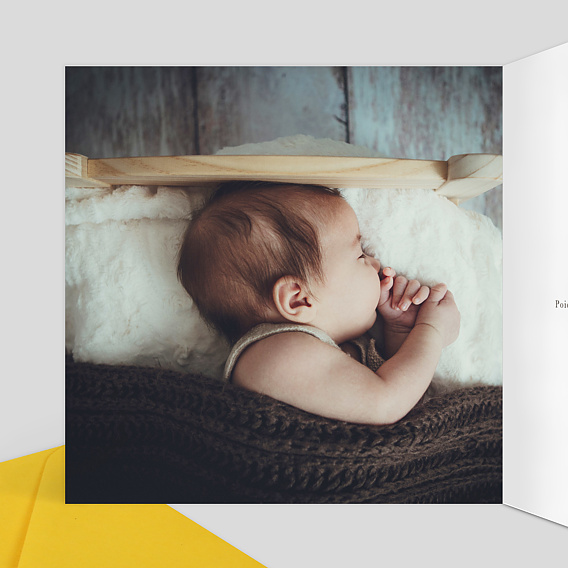 Faire part naissance Couronne Renardeau Intérieur Gauche