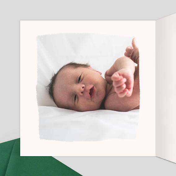 Faire part naissance Famille dinosaures Intérieur Gauche