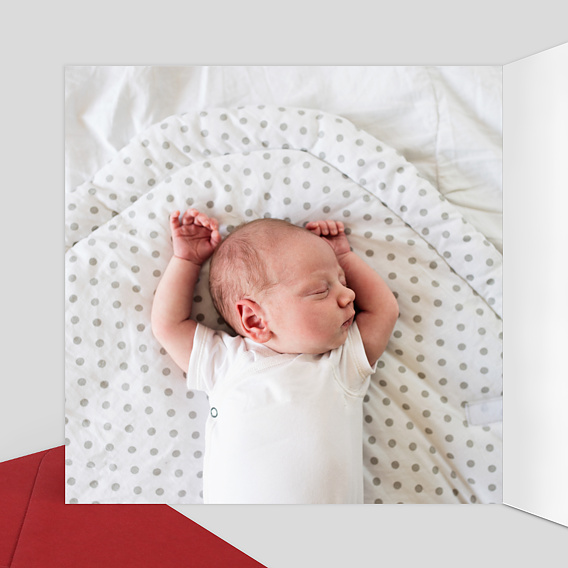 Faire part naissance Dorure Eucalyptus Intérieur Gauche