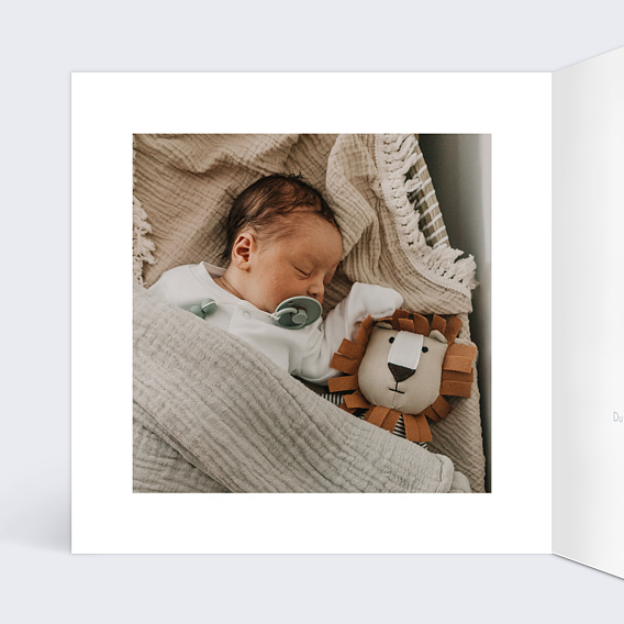 Faire part naissance Famille chat Intérieur Gauche