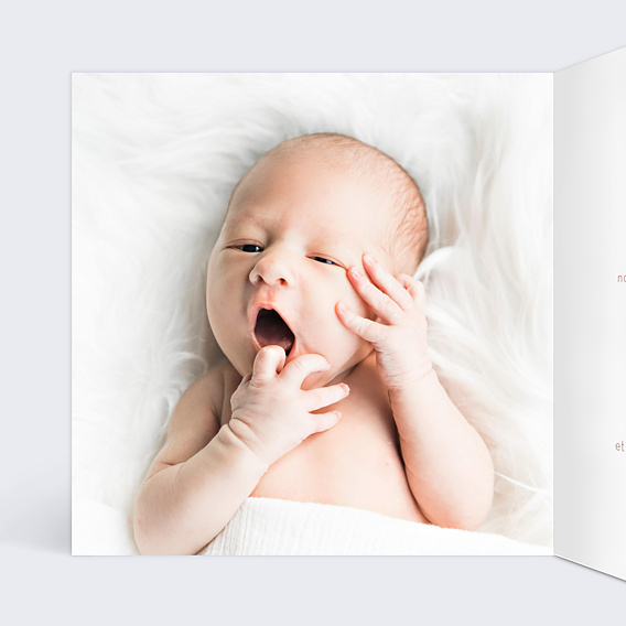 Faire part naissance Mobile Intérieur Gauche