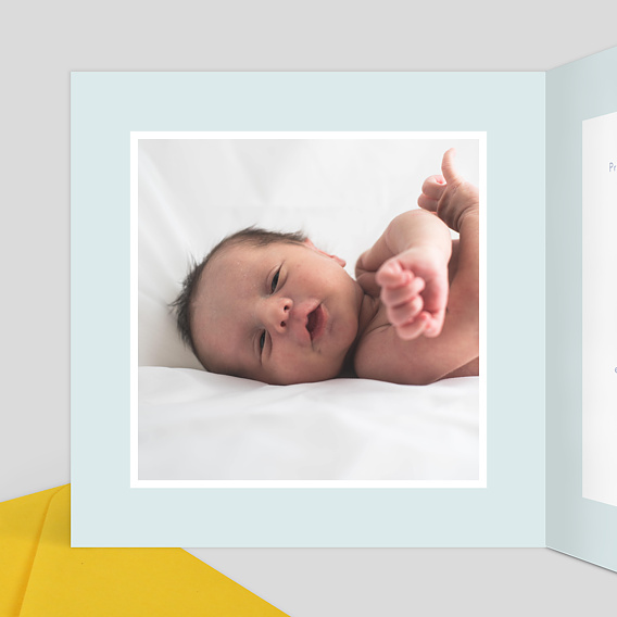 Faire part naissance Oisillons Intérieur Gauche